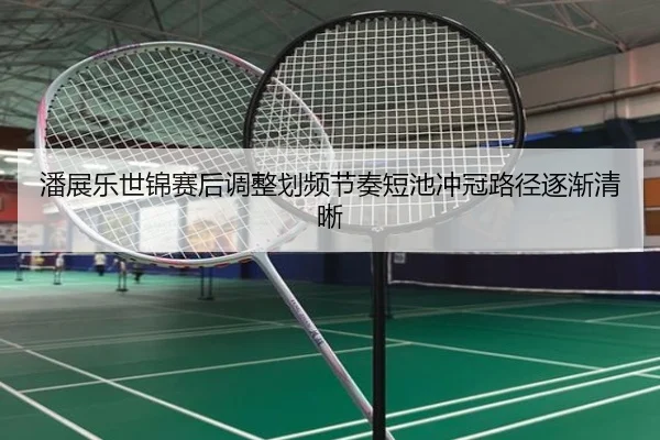 潘展乐世锦赛后调整划频节奏短池冲冠路径逐渐清晰